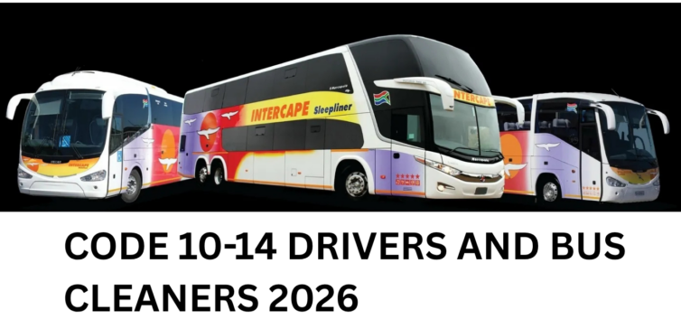 Intercape Vacancies 2026: Bus Driver and Cleaner Jobs in South Africa